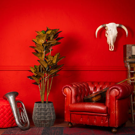 Rubberboom kunstplant 160 cm - Ficus elastica met 3 stammen