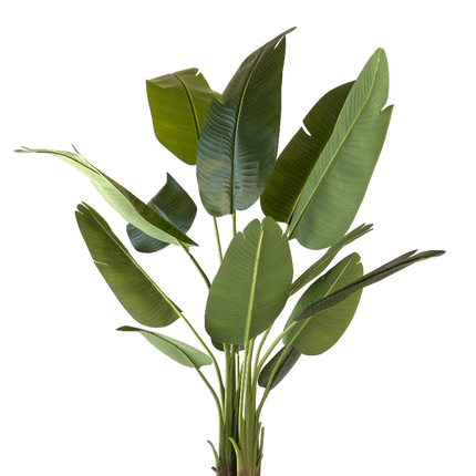 Kunstplant Strelitzia 150 cm real touch