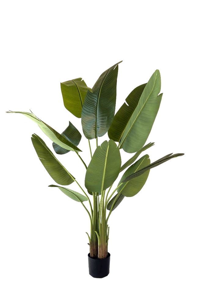 Kunstplant Strelitzia 150 cm real touch