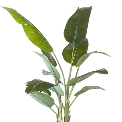 Kunstplant Strelitzia 180 cm real touch