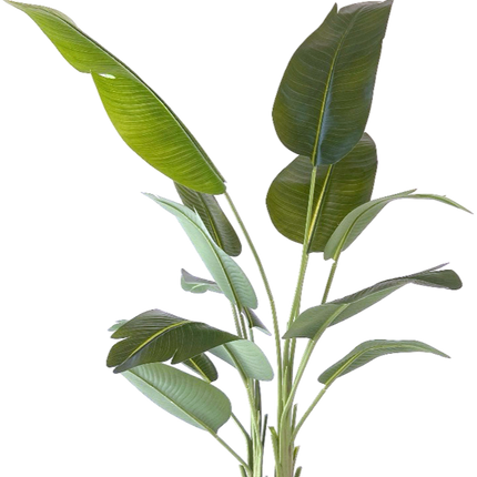 Kunstplant Strelitzia 200 cm real touch