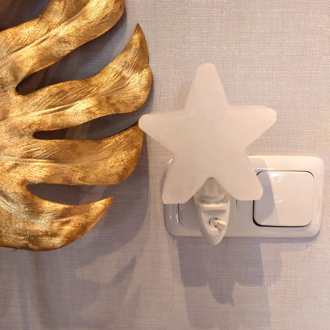 Witte zoutsteen ster nachtlampje